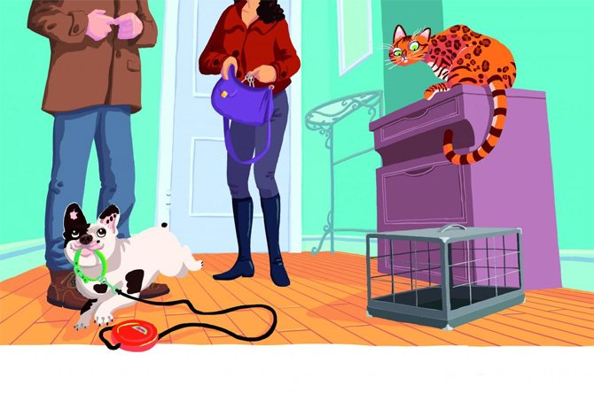 LES AVENTURES D’ALBERT ET FOLIO – AUDIOLIVRE HACHETTE