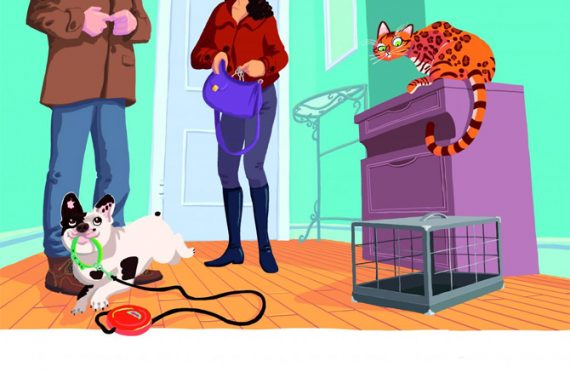 LES AVENTURES D’ALBERT ET FOLIO – AUDIOLIVRE HACHETTE