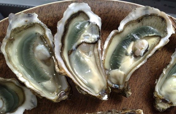 Huitres marennes oléron
