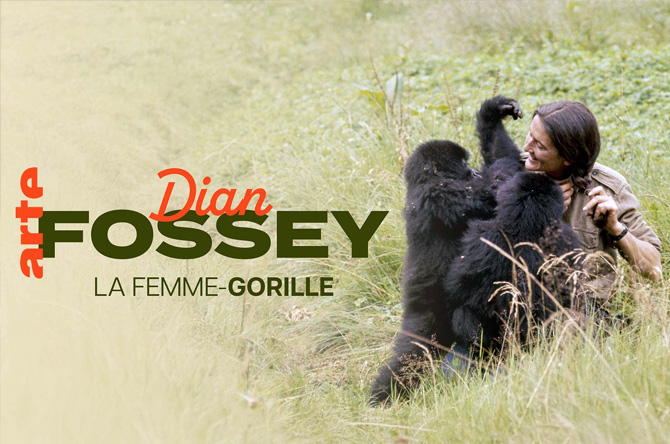 Dian Fossey – La Femme Gorille – Arte